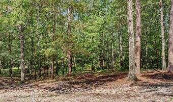437 Massey Rd, Amity, AR 71921