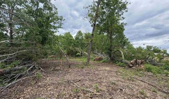 3968 HWY 167, Ash Flat, AR 72513