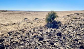 N3443, Concho, AZ 85924