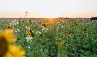 0000 450th Rd, Bassett, NE 68714