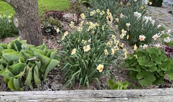 4351 Crown Point Rd, Bridport, VT 05734