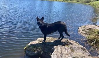 65 Widow Moses Rd, Berlin, VT 05602