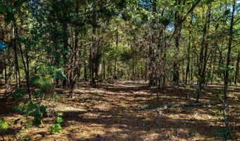 Castle Drive, Batesville, AR 72501
