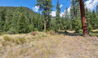 13902 Highland Trl, Alberton, MT 59820