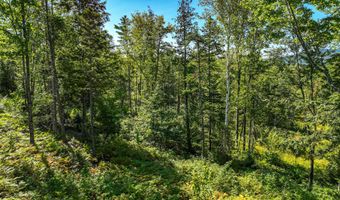 Sawyer Notch Road lot 39, Andover, ME 04216