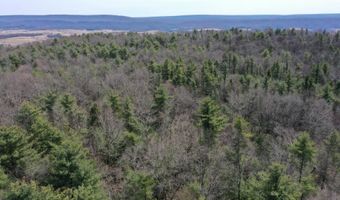 385 ELK CREEK Rd, Aaronsburg, PA 16820