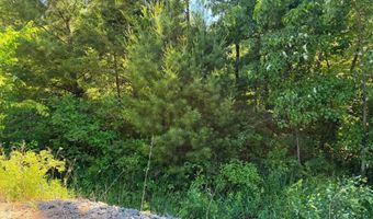 2 5 Acres County Road C, Arkdale, WI 54613