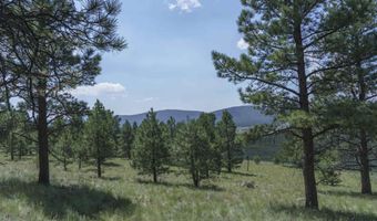 9 Buckskin Rd, Angel Fire, NM 87710
