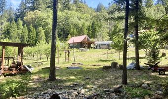 4580 OLD HOUSE CREEK Rd, Agness, OR 97406