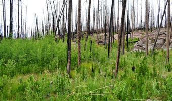 2025 Granite Rd, Bellvue, CO 80512