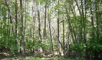 643 Radar Rd, Ararat, NC 27007