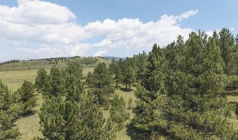 9 Buckskin Rd, Angel Fire, NM 87710