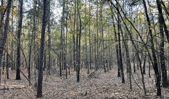 0 E 1912 Rd, Antlers, OK 74523