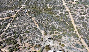 59401 Trails End Ln, Anza, CA 92539