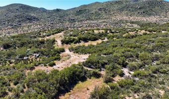 55355 Tule Peak Rd, Anza, CA 92536