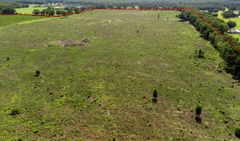 7009 129 Hwy, Bell, FL 32619