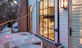 614 W North St, Aspen, CO 81611