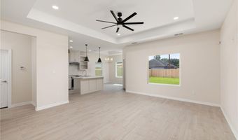 1717 Alisson St, Alton, TX 78573
