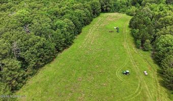 Vine Drive, Brandon, MS 39047