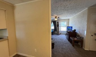 20 Diane Ave, Ash Flat, AR 72513