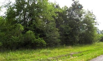 118 LR 27, Ashdown, AR 71822