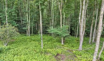 Featherwood Trail, Banner Elk, NC 28604