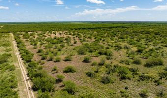 County Road 119, Alice, TX 78332