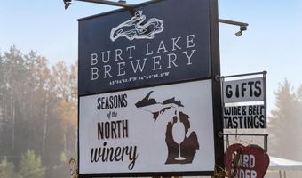 9090 M-68, Alanson, MI 49706