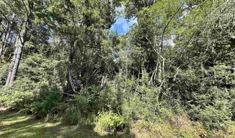 1580 CR 4535, Hillister, TX 77624