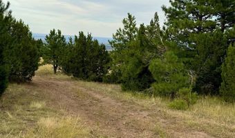 Par 18 Old Homestead Ln, Beulah, CO 81023