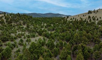 Bald Hill Lode, Basin, MT 59631
