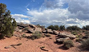 51 N9087, Concho, AZ 85924