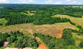 193 Ac Massa Rd, Baxter, TN 38544