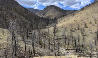 122 Black Hollow Rd, Bellvue, CO 80512