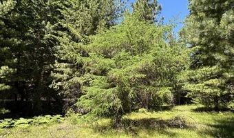 2216 Mosquito Creek Rd, Clark Fork, ID 83811