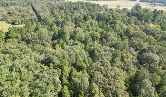 7 N Hall Rd, Antlers, OK 74523