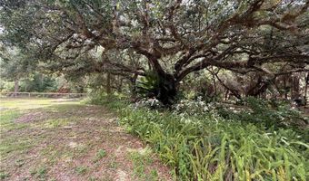 18251 Persimmon Ridge Rd, Alva, FL 33920