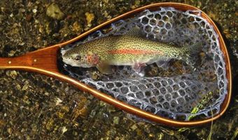 2063 PEDLAR RIVER Rd, Amherst, VA 24483