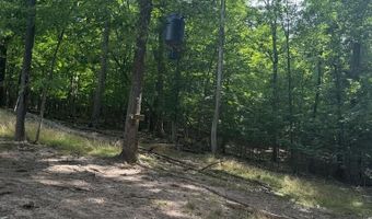 572 Dameron Rd, Ballard, WV 24918