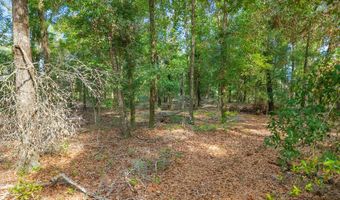 6679 NW 27th Pl, Bell, FL 32619