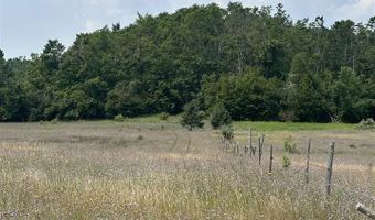 8688 Miller Rd, Alanson, MI 49706