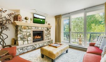 1120 Village Rd 204, Beaver Creek, CO 81620