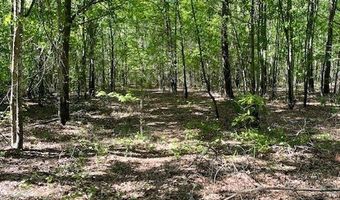 10 35 Cannafax, Barnesville, GA 30204