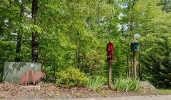 314 N Mallard Cv, Almond, NC 28702