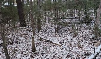 19 Th Pass Lot 19, Arkdale, WI 54613