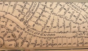 Lot 99 Wilderness, Alger, MI 48610