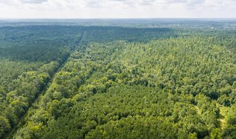 Burks Mountain Road, Appling, GA 30802