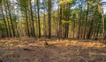 El Camino Real lot 35, Angel Fire, NM 87710