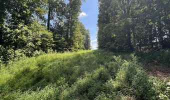 3772 E New Roe Rd, Adolphus, KY 42120