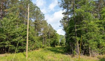 10 AC +/- Gravel Pit Lake Rd, Beaumont, MS 39423